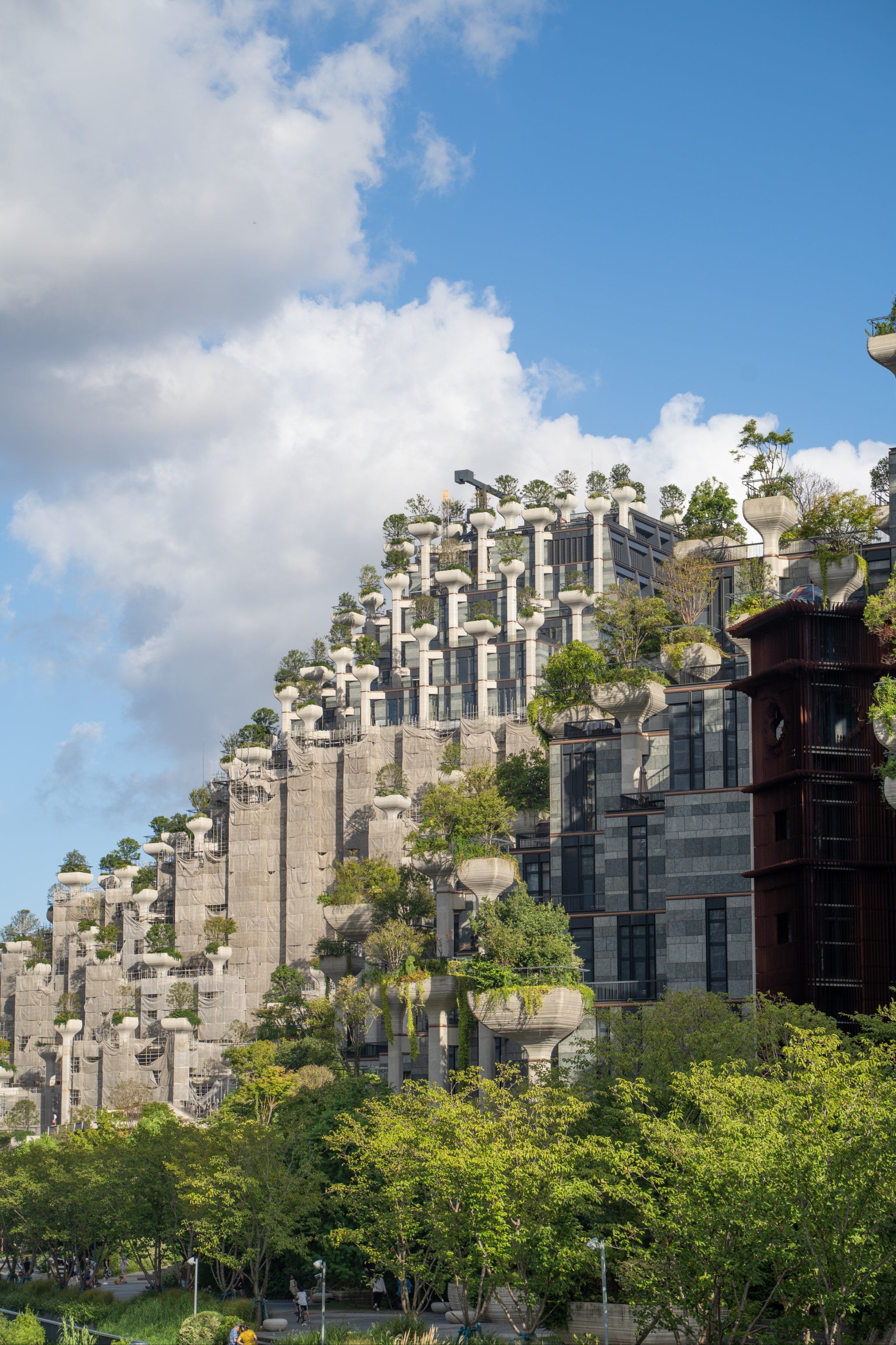 抖音